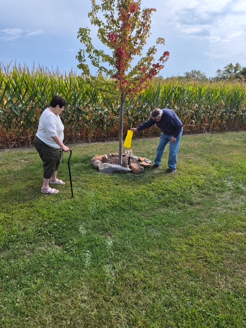 DeGrazia Tree Dedication